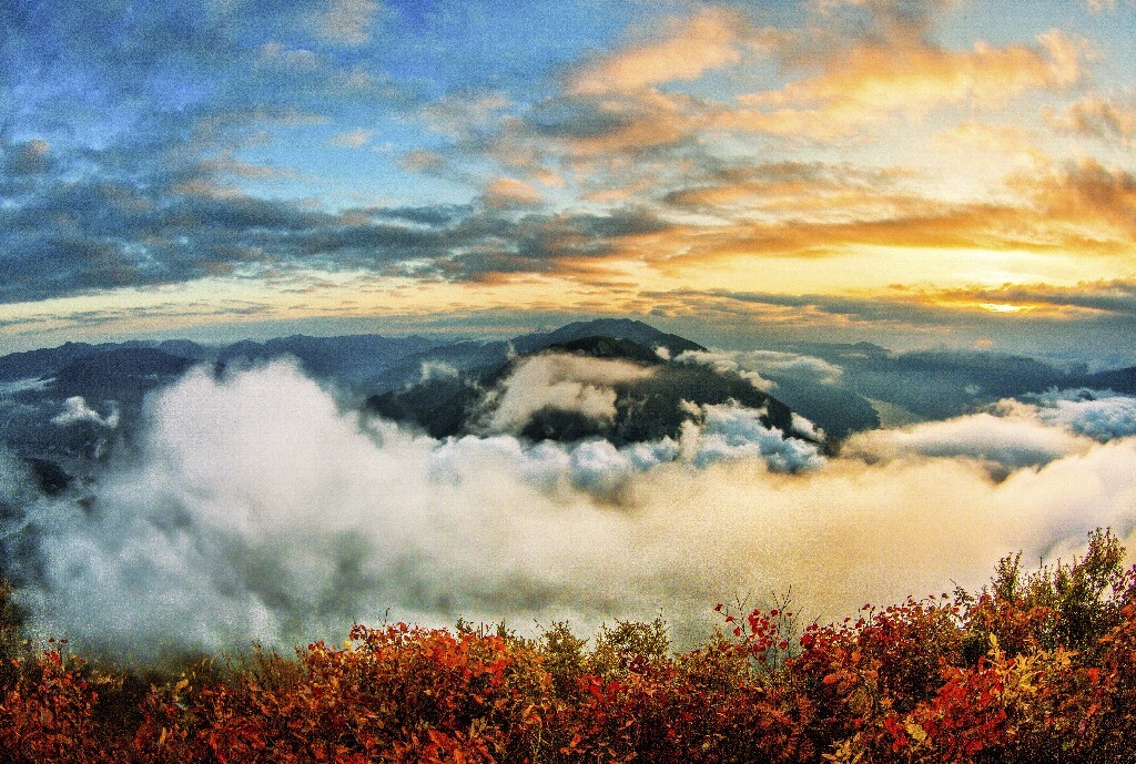 2015年红叶之三峡瞿塘峡云海日出，等了三天，守候这一时刻。辛苦没有白费。