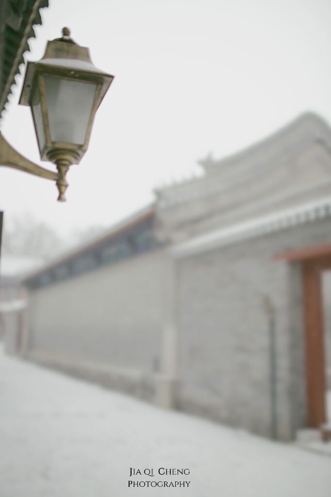 碎雪京城