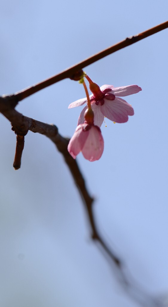 冬春。。枯荣。。<br />
转换