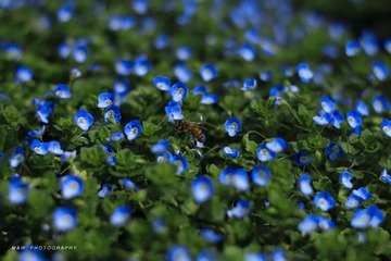IMG_2711_1