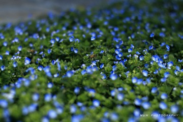 IMG_2708_1
