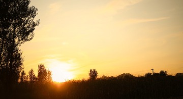 2019-10-05 05.53.17 3