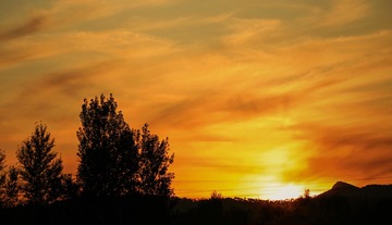 2019-10-05 05.53.18 2