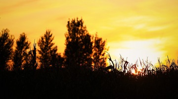 2019-10-05 05.53.18 1