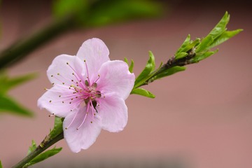_DSC6490tc