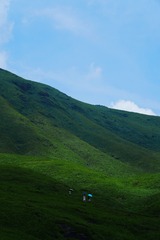 5361685B-B107-4676-B17C-4B605F2161B3/L0/001