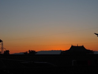 PA210789