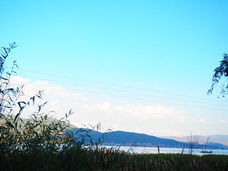 PA211006