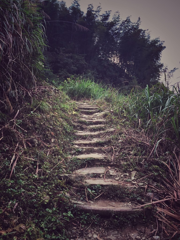 十月 去往黄山最美的高山古村落的道路