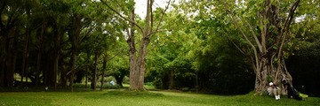 E3A3AB16-7448-4285-BC3B-82C231042183/L0/001