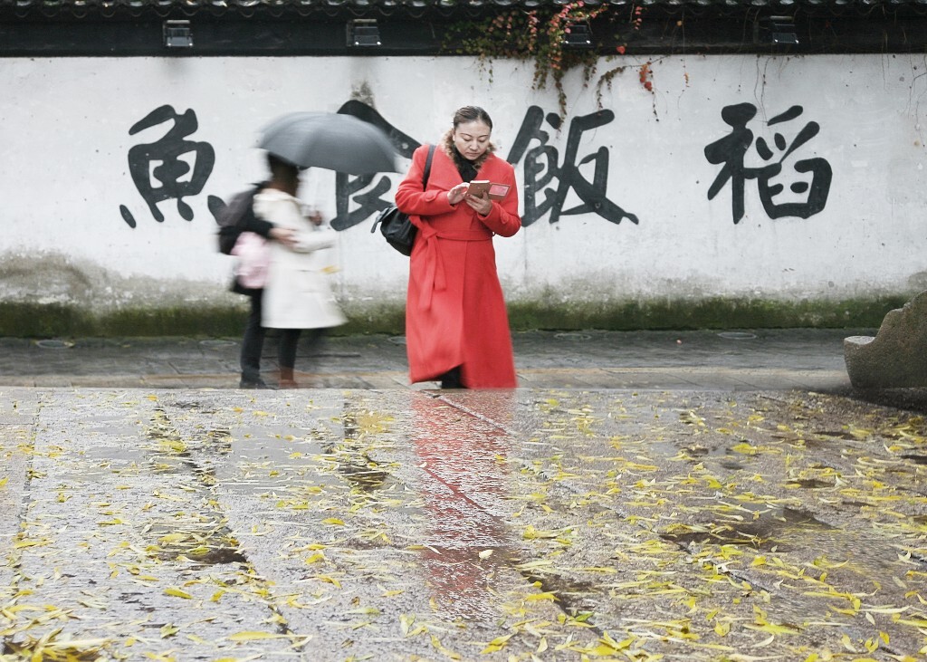 一场冬雨打落了柳叶，给平江路增添了几许色彩。        2017年1月摄于平江路