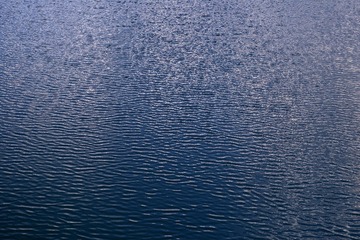 HGM_9292