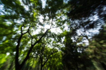 DSC06395_调整大小