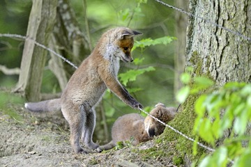 _MG_2941.jpg