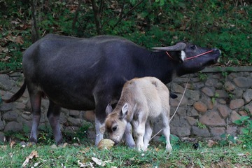 _MG_3134.jpg