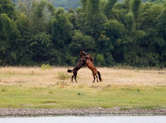 _MG_3251.jpg