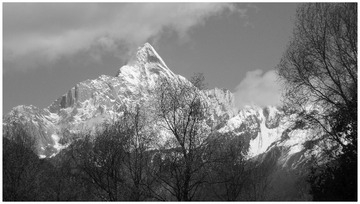 DSC01204_