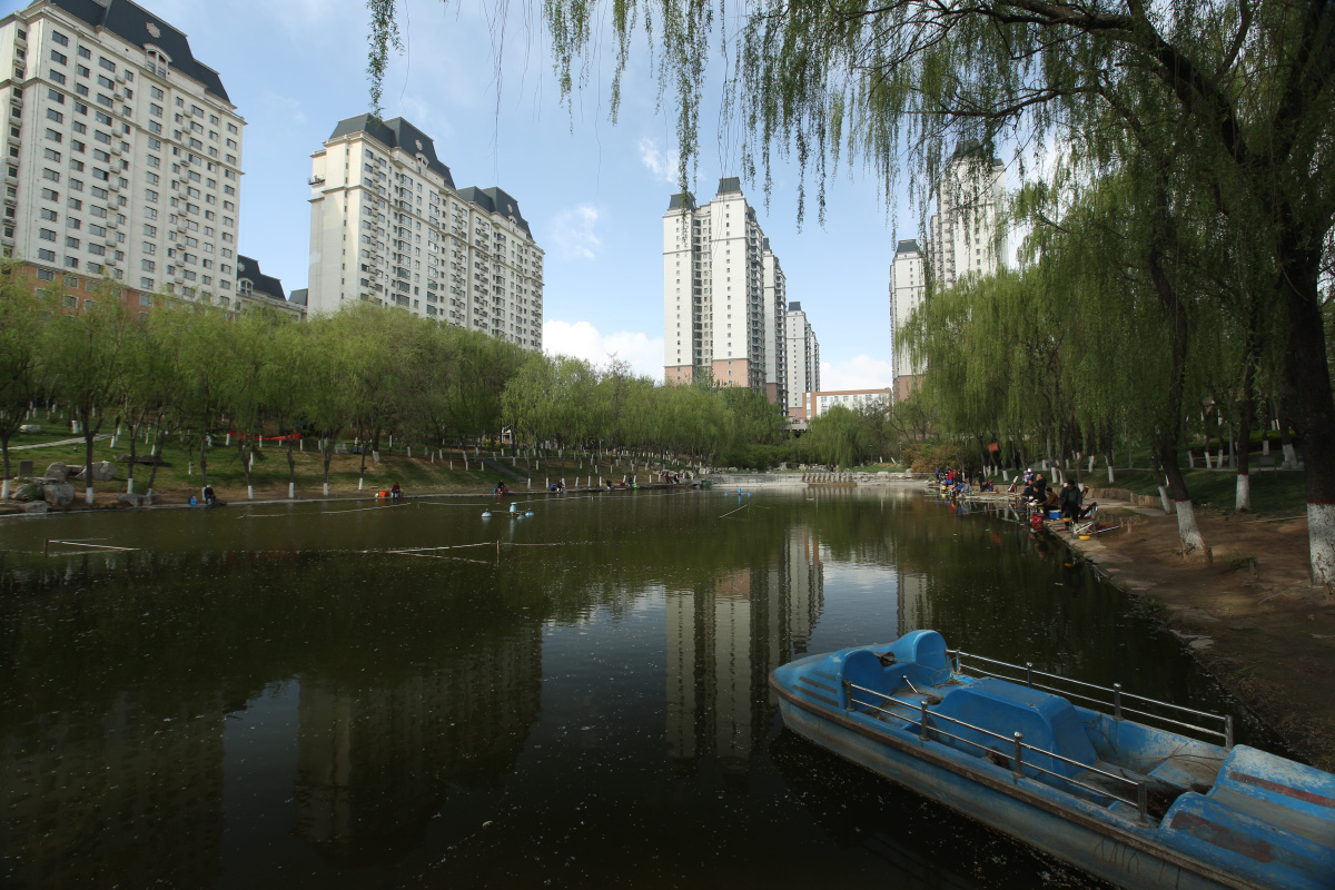 武安市白鹤公园随拍