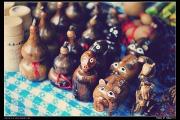 DSC08999_HZP