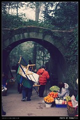 DSC09032_HZP