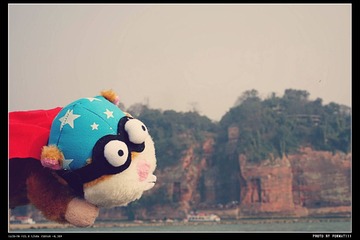 DSC08885_HZP