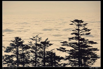 DSC08590_HZP