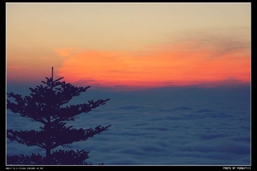 DSC08758_HZP