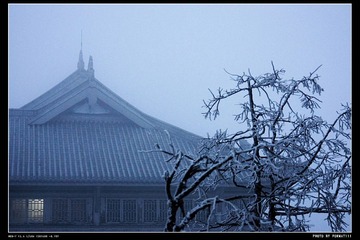 DSC08790_HZP