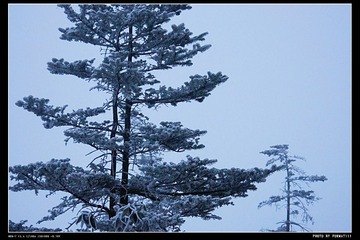 DSC08797_HZP