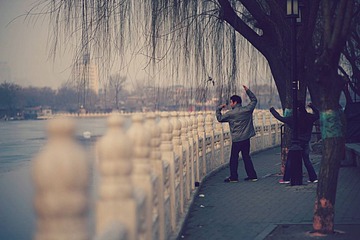DSC00930_HZP