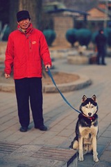 DSC01031_HZP