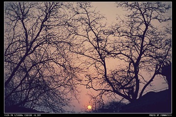 DSC00860_HZP