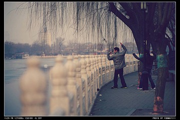 DSC00930_HZP