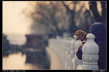 DSC00977_HZP