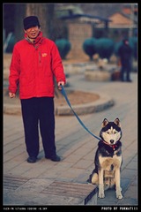 DSC01031_HZP