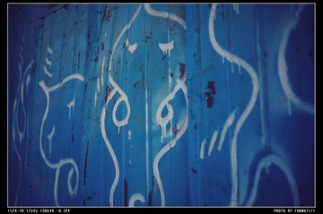 DSC05138_HZP