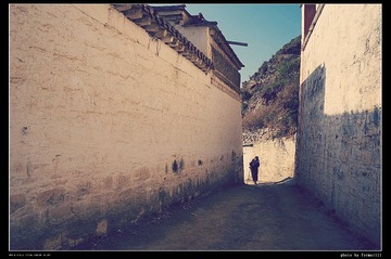 DSC05669_HZP