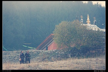 DSC06230_HZP