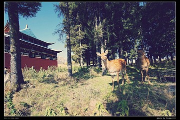 DSC06332_HZP