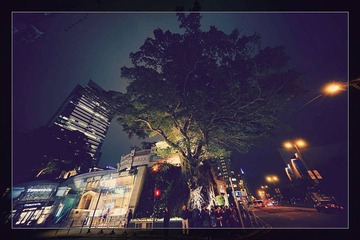 DSC04199_HZP
