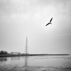 20140124