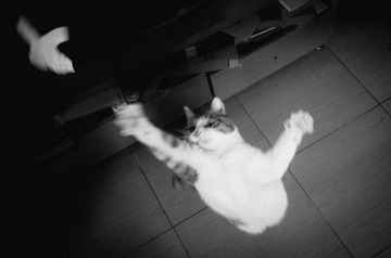 20140316