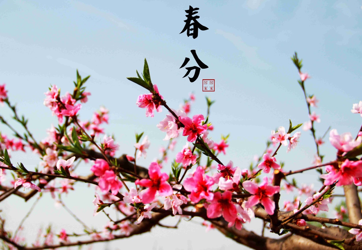 玄鸟至,雷乃发声,始电