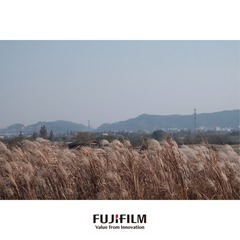 8391EEFA-C0BE-4E49-8D4C-FC590CD56E06/L0/001