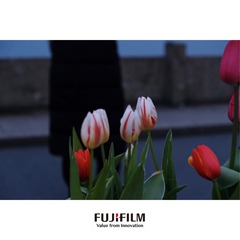 3DCFD83F-E528-43EE-8D15-EC7CC14AD41E/L0/001
