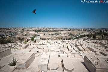 201206050013.jpg