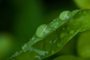 After rain