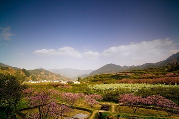 IMG_0023.jpg
