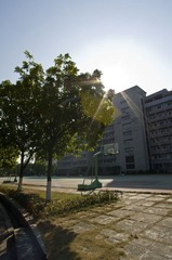Sunshine in 广商
