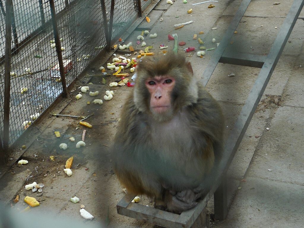 抑郁症八级